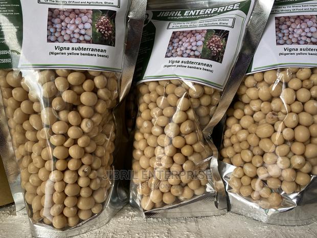 Nigerien Yellow Bambara Beans · Photo 1