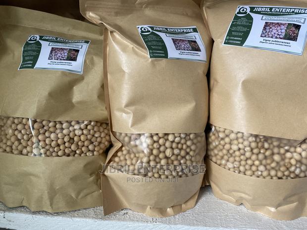 Nigerien Yellow Bambara Beans · Photo 3