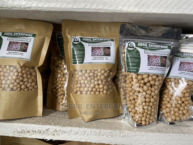 Nigerien Yellow Bambara Beans · Photo 4