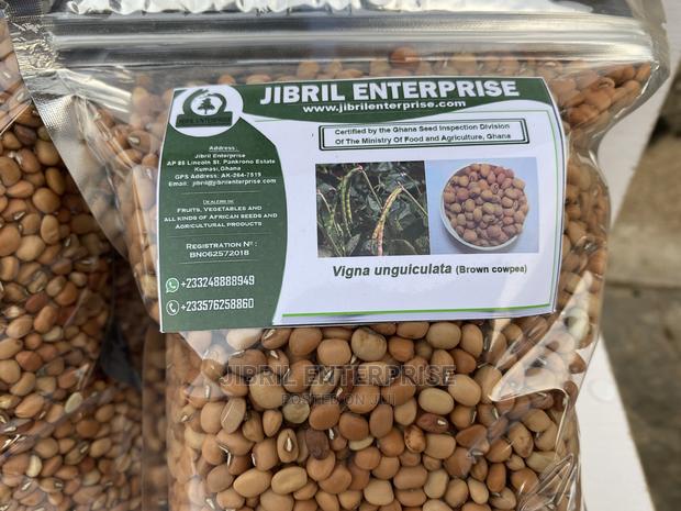 African Brown Cowpea · Photo 2