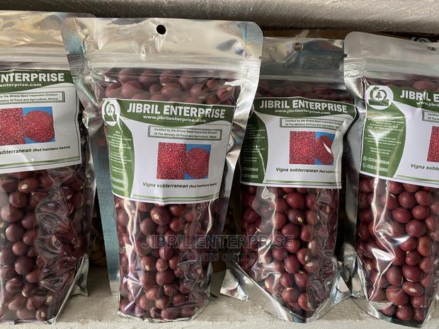 Red Bambara Bean(Vigna Subterranean) · Photo 2