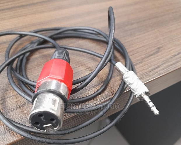 XLR to Mini Jack Cable · Photo 1