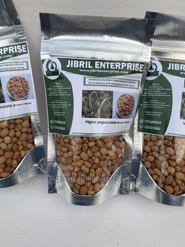 African Brown Cowpea · Photo 1