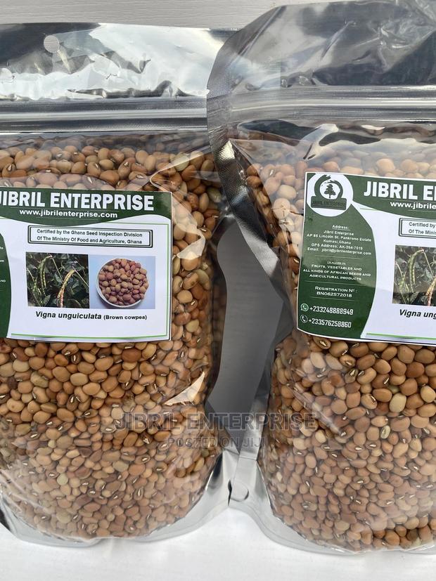 African Brown Cowpea · Photo 4