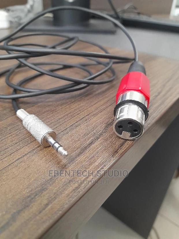 XLR to Mini Jack Cable · Photo 2