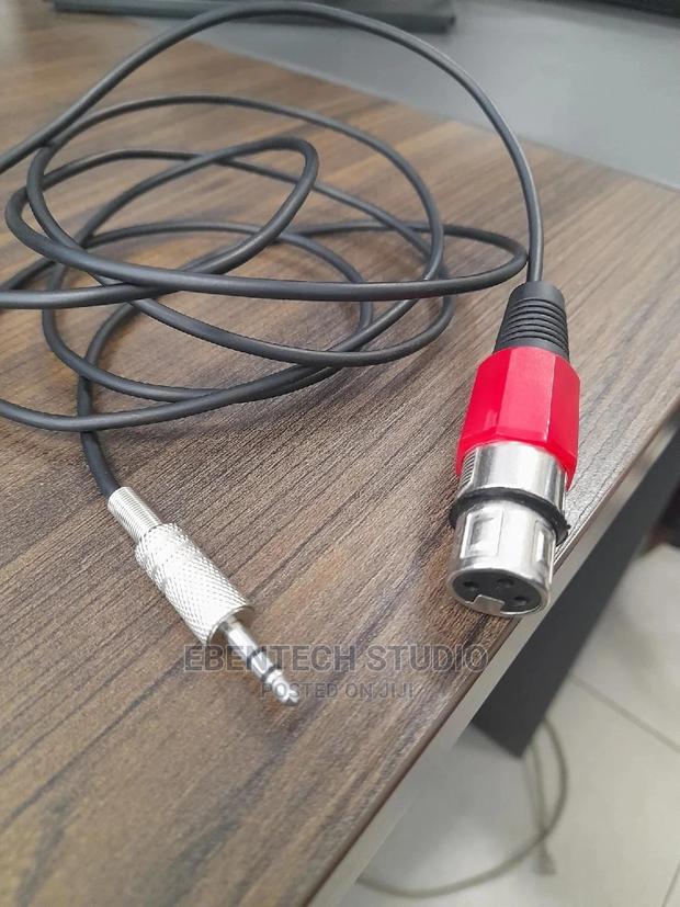 XLR to Mini Jack Cable · Photo 5