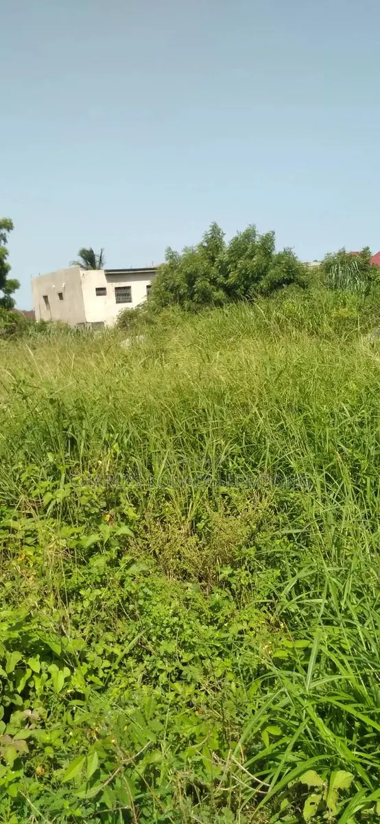 Land For Sale · Photo 1