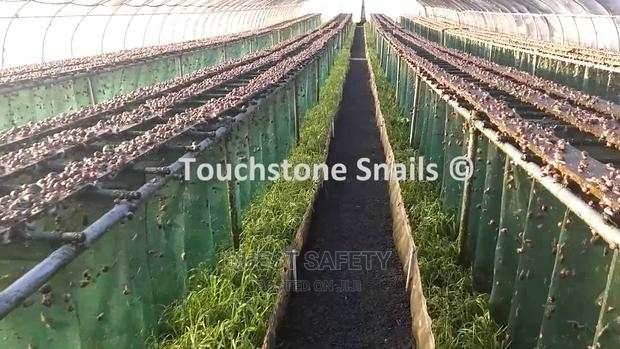 Farming Shade Net(2 Metres by 40 Metres) · Photo 2