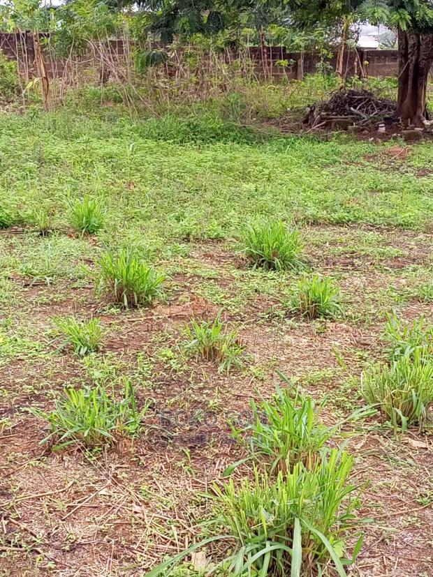 1 Plot of Land for Sale at Kwabenya · Photo 1