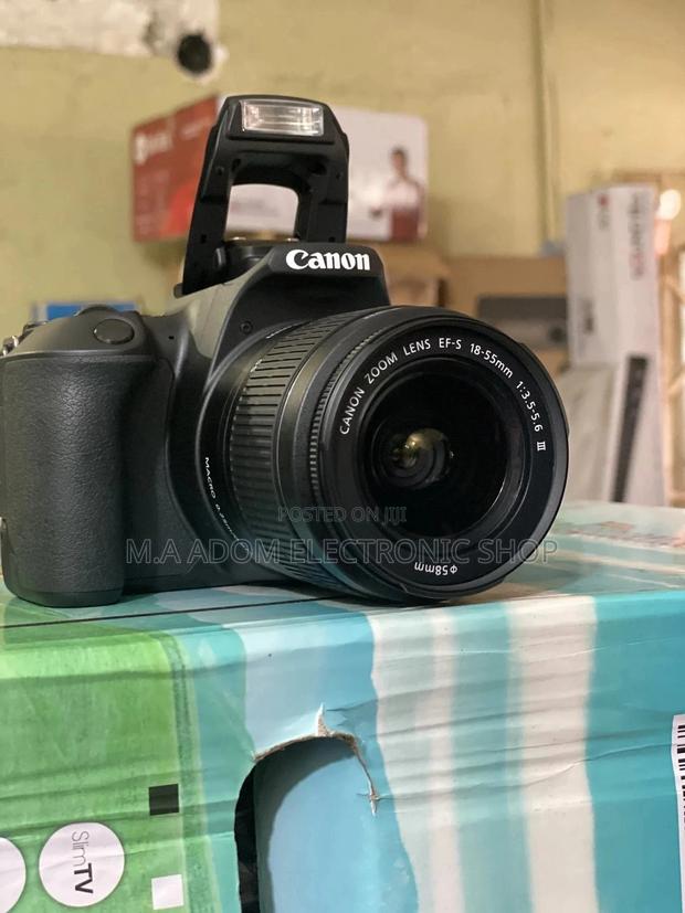 Snap All Your Pics in Portrait Mode With Canon Eos 250D · Photo 1