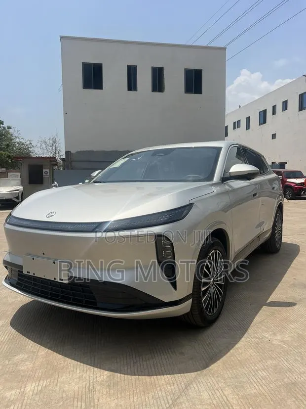 New Dongfeng Rich 2025 Gray · Photo 1