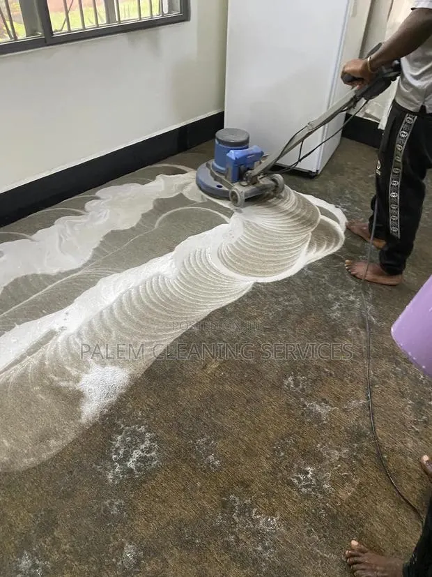 Installed Carpet Cleaning · Photo 1