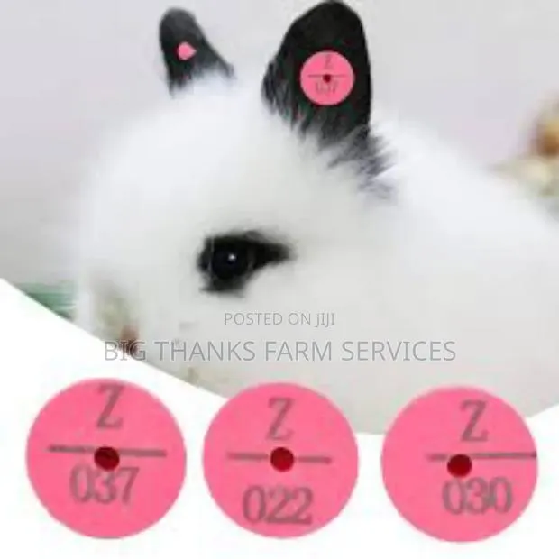 Livestock Tags · Photo 1