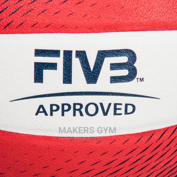 Volleyballs (Pro) · Photo 1