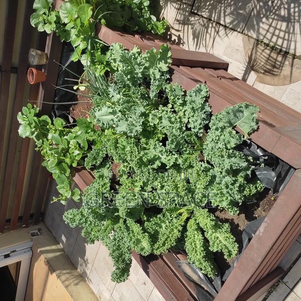 Home Garden Setup · Photo 2