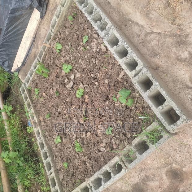 Home Garden Setup · Photo 3