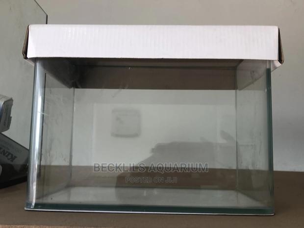 Glass Aquarium · Photo 2