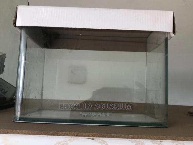 Glass Aquarium · Photo 5