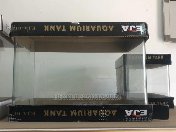 Glass Aquarium · Photo 4