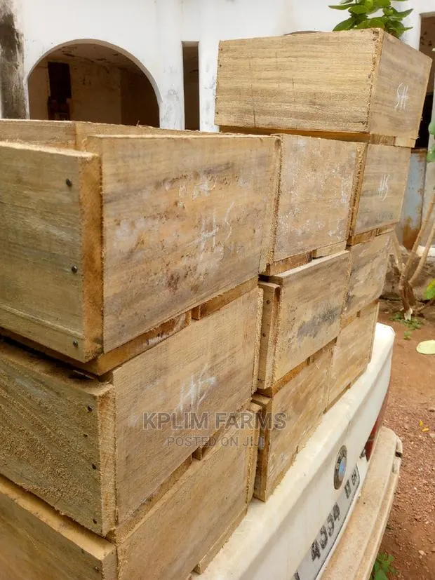 Rabbit Litter Boxes (Litter Boxes) · Photo 1