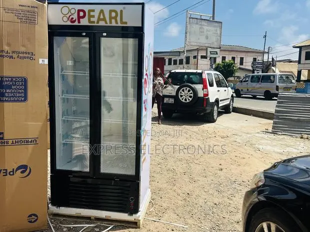 Elegant Design Slim Double Door PVC 424, 400L Pearl · Photo 1