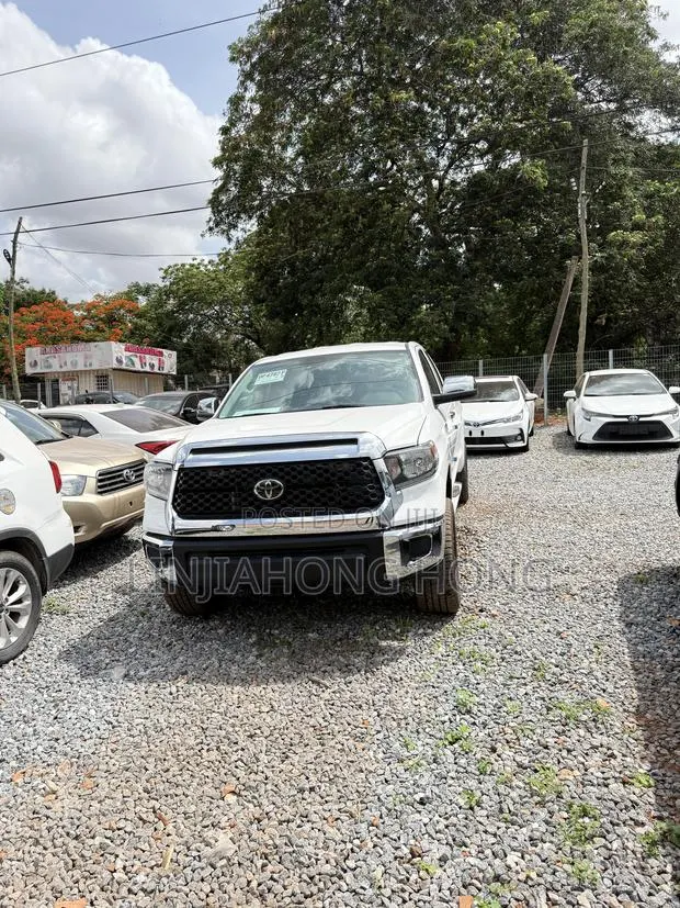 Toyota Tundra SR 5.7L V8 4x4 Double Cab 6.6 ft. box 145.7 in. WB 2020 · Photo 1