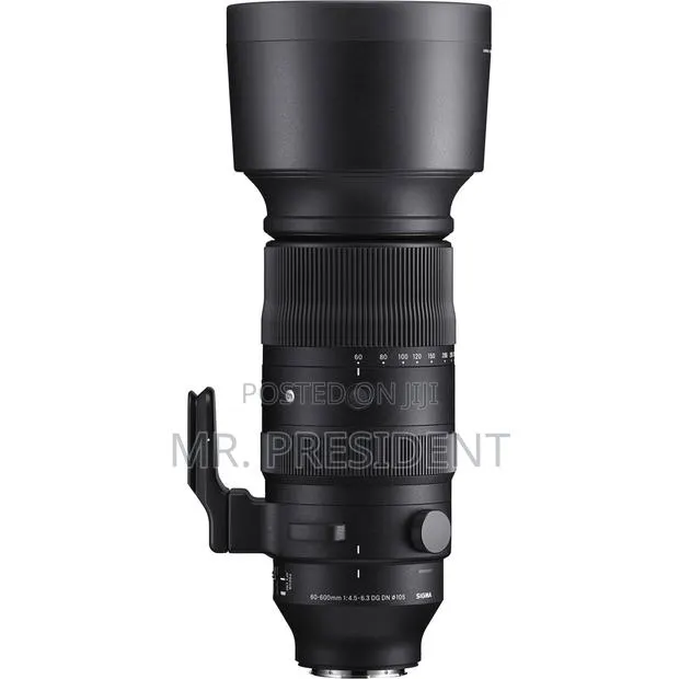 Sigma 60-600mm F/4.5-6.3 DG DN OS Sports Lens (Leica L) · Photo 1
