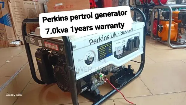 Buy Perkins UK 8000W Petrol Generator – Quality You Can Trust · Photo 1