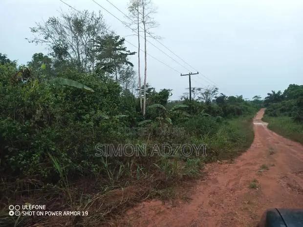 50,000 Acres for Rubber and Palm Trees Farming · Photo 4