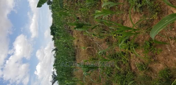 Land for Sale at Santasi Darko New Site · Photo 1