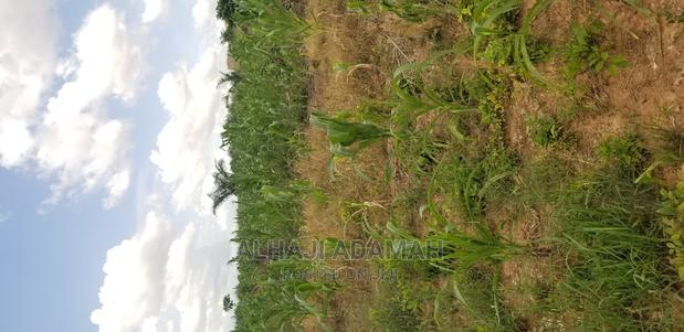 Land for Sale at Santasi Darko New Site · Photo 4