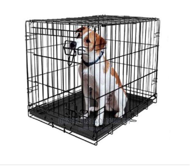 Metallic Cages and More · Photo 2