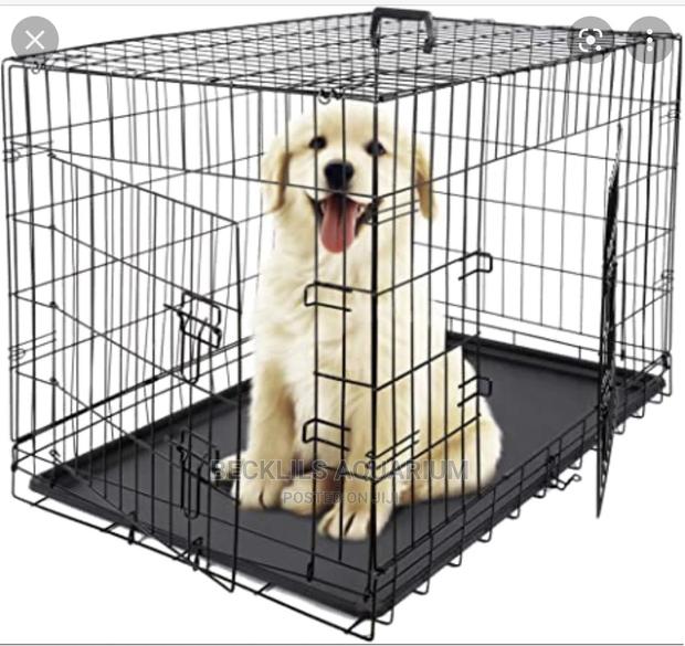 Metallic Cages and More · Photo 1