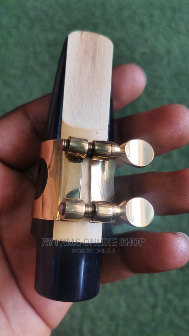 Alto Saxophone Mouthpiece · Photo 1