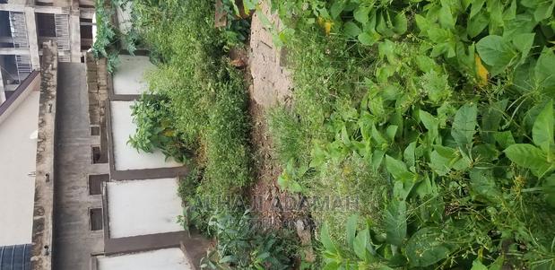 Land for Sale at Santansi Darko · Photo 3