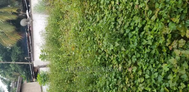 Land for Sale at Santansi Darko · Photo 4
