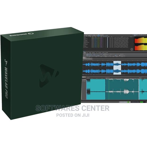 Steinberg Wavelab 12 Pro For Windows (X64) · Photo 1