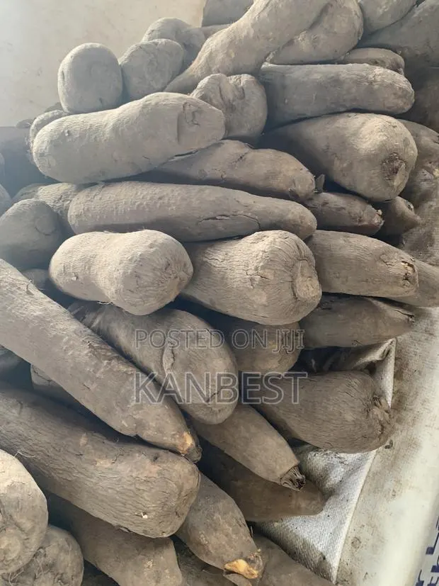 Yam Tubers · Photo 1
