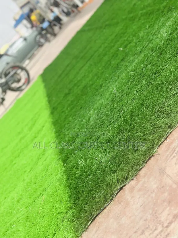 Astro-Turf · Photo 1