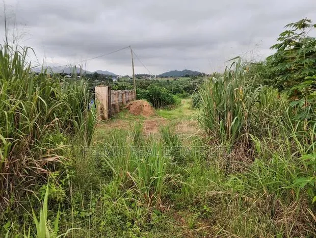 1 Plot of Land at Obom for Sale · Photo 1