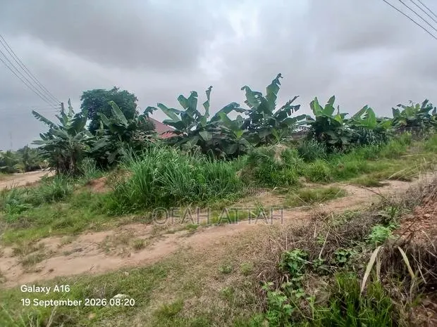 Full Plot for Sale at Abrepo