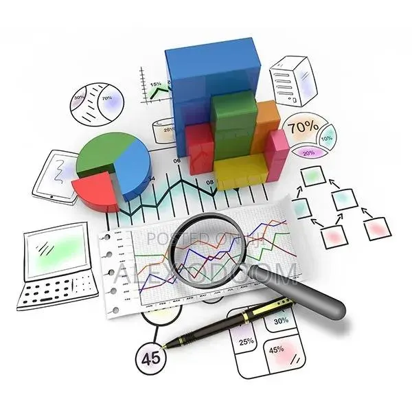 Professional Data Analysis Services (Spss, Excel, R, Python) · Photo 1
