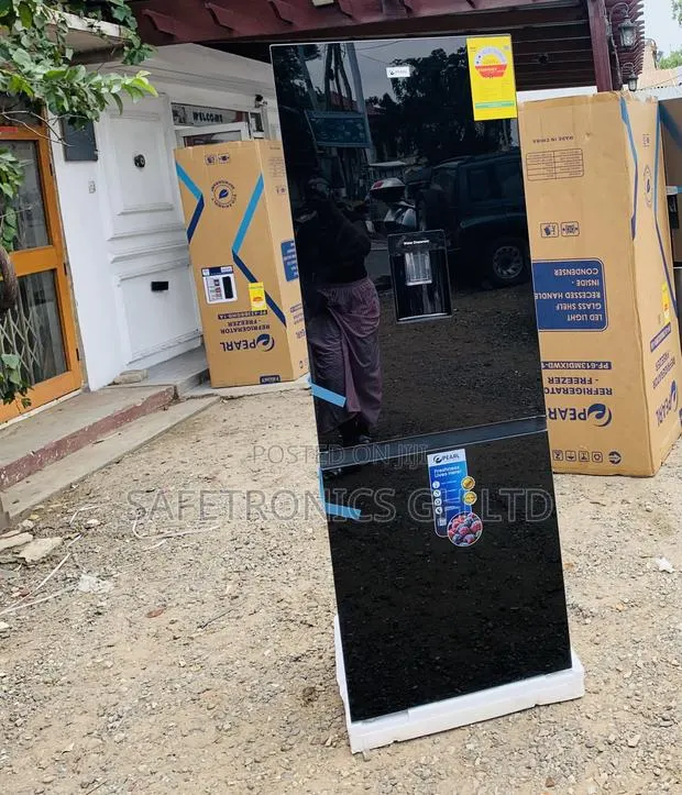 Fabulous Pearl Bottom Mount Black 309L 2 Doors Fridge · Photo 1