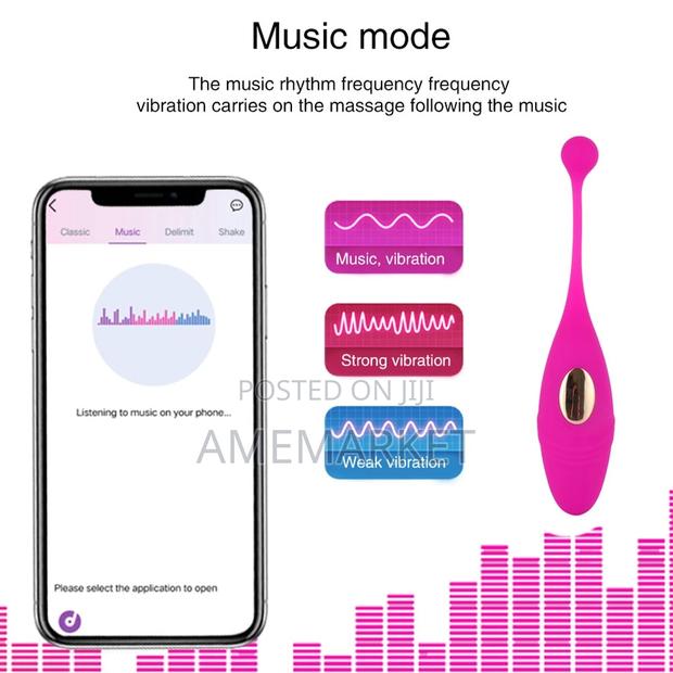 Lush 2 App Bluetooth Remote Control Wireless G-Spot Vibrator · Photo 3