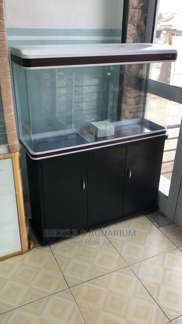 Package Aquarium · Photo 6