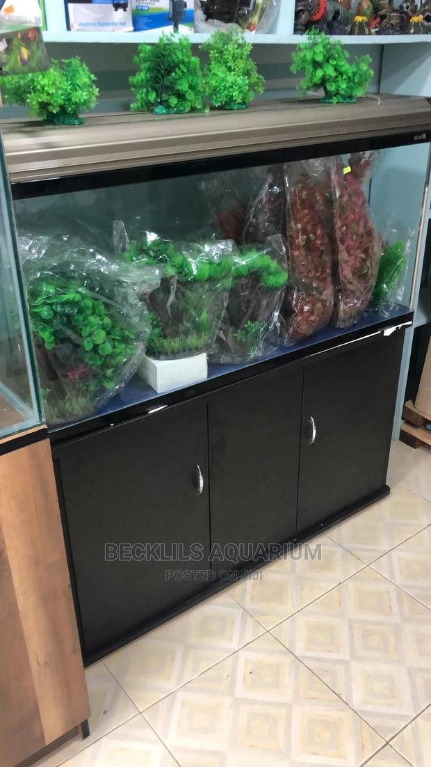 Package Aquarium · Photo 5