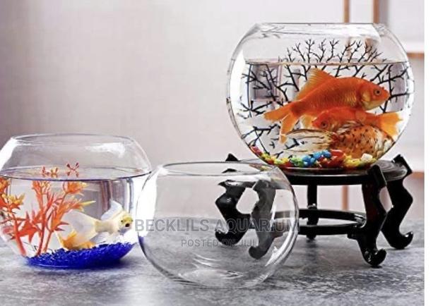 Glass Bowls N Fish · Photo 1