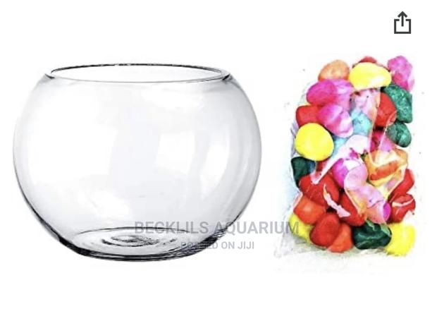 Aquarium Glass Bowl · Photo 1