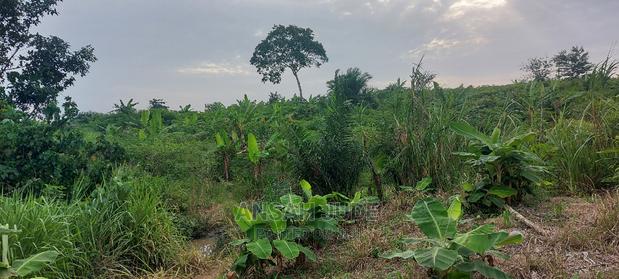 Farmlands,Commercial and Residential Lands for Sale · Photo 3