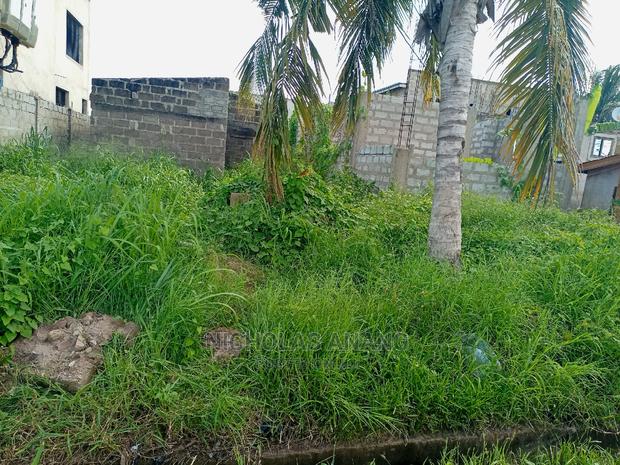A Half Plot of Land for Sale at Tseaddo · Photo 2